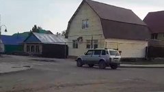 Неизвестный стрелял по собакам в Соль-Илецке