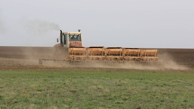 Соль-Илецкий округ – лидер по посевной площади