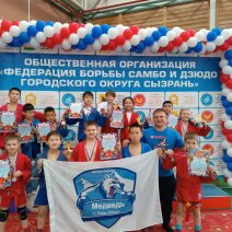 Сольилечане принимали участие в открытых соревнованиях по самбо
