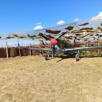 В Соль-Илецком округе снимут кадры для фильма о советской летчице Лидии Литвяк