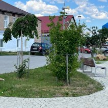 Какая погода будет в Соль-Илецке в выходные