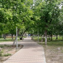 Афиша мероприятий в Соль-Илецке на сегодня