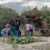 В Соль-Илецке дерево упало на дом