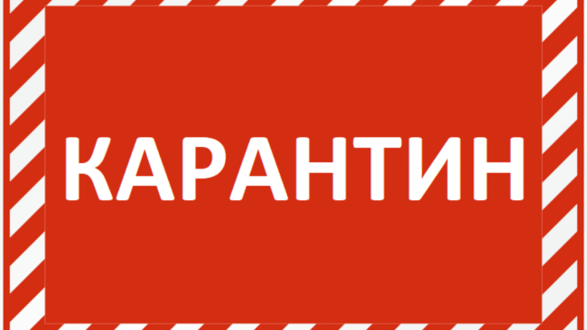 Село Ветлянка  под Соль-Илецком закрыто на карантин из-за африканской чумы свиней