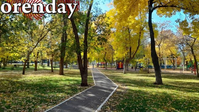 Не дайте гриппу захватить вас: сольилечанам напомнили, как сохранить здоровье осенью