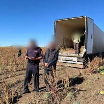 В Соль-Илецке в ходе операции «Нелегал» выявлено 95 нарушителей