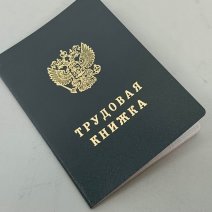 Дисциплинарное взыскание признано незаконным: сольилечанка добилась справедливости в суде