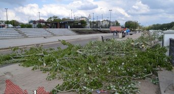 В зиму на набережной Оренбурга собираются посадить деревьев на 10 млн рублей