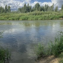 В Соль-Илецке отдых на реке закончился переломом челюсти