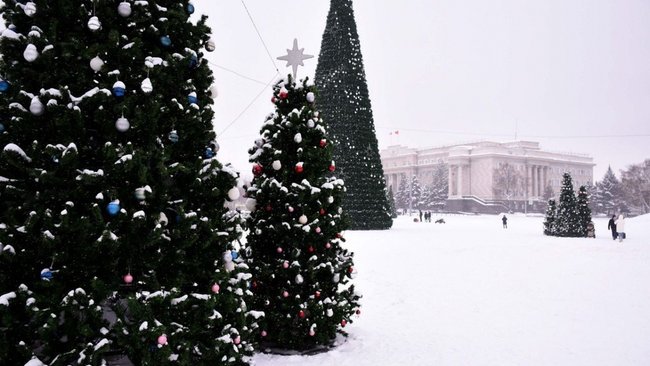 Сегодня в областном центре состоится открытие главной елки