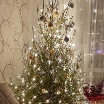 В Соль-Илецке наказали нелегального продавца новогодних елей