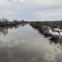 Уровень воды в реке Илек в Акбулакском районе ежедневно снижается