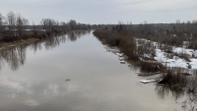 Уровень воды в реке Илек в Акбулакском районе растет