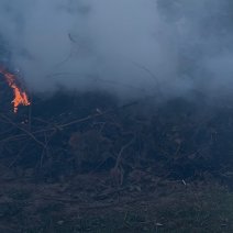 В Соль-Илецком округе уже регистрируются первые природные пожары