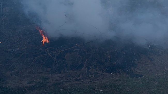 В Соль-Илецком округе уже регистрируются первые природные пожары