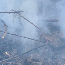 В Соль-Илецке с 1 апреля начинается пожароопасный сезон