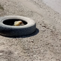 В Соль-Илецке вынесли приговор водителю, который неудачно прокатил знакомого на автомобильной покрышке