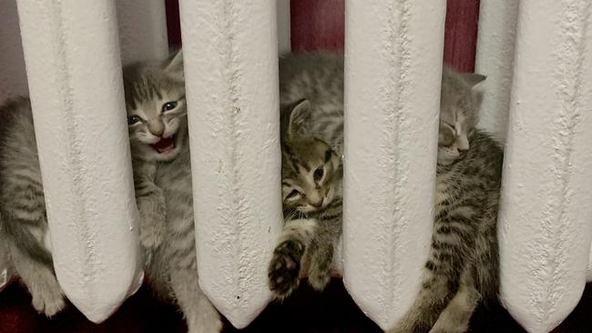 В Соль-Илецком округе завершается отопительный сезон