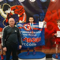 Сольилечане завоевали пять золотых медалей на соревнованиях по самбо