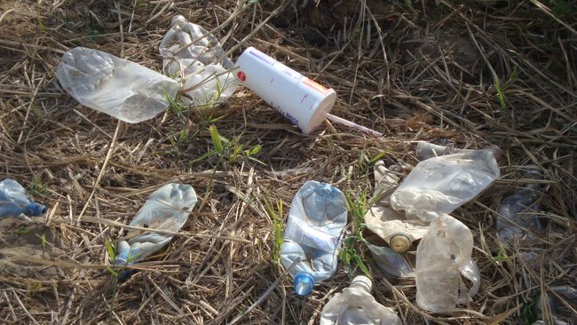 В Соль-Илецке от арендатора требуют очистить захламленный участок