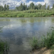 В Акбулакском районе администрация сельсовета незаконно сдала в аренду участок с рекой