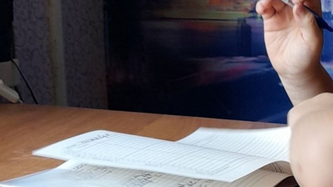 Соль-илецкие школьники не будут изучать обществознание до 9 класса