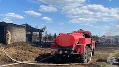 7 голов КРС погибли на пожаре под Соль-Илецком