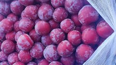 В Соль-Илецк со сливами и абрикосами чуть не проникла карантинная плодожорка