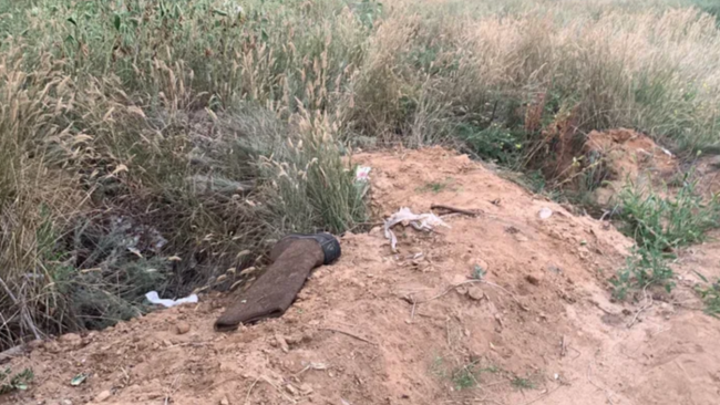 Суд обязал арендатора очистить захламленные земельные участки в Соль-Илецке