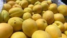 В Соль-Илецк и Оренбург доставили партию абрикосов и нектаринов с опасным паразитом