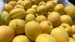 В Соль-Илецк и Оренбург доставили партию абрикосов и нектаринов с опасным паразитом