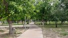 В Соль-Илецке состоится кинопоказ под открытым небом в честь Дня семьи, любви и верности
