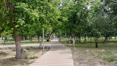 В Соль-Илецке состоится кинопоказ под открытым небом в честь Дня семьи, любви и верности