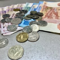 В Соль-Илецком округе сельхозпредприятие платило работникам меньше МРОТ