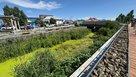 103 миллиона в болото: как выглядит набережная Песчанки в Соль-Илецке в середине лета