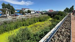 103 миллиона в болото: как выглядит набережная Песчанки в Соль-Илецке в середине лета