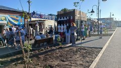 Реально ли благоустройство с пользой для местных в Соль-Илецке?