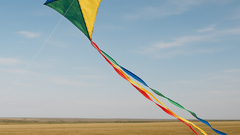 В Соль-Илецке пройдет конкурс воздушных змеев «Свободен как ветер»