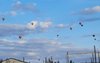 Сегодня в небо над Соль-Илецком поднялись первые воздушные шары