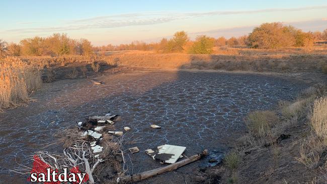 В Соль-Илецке животные снова тонут в гудроновых озерах