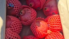 В Соль Илецке обнаружили зараженную партию гранатов из Узбекистана