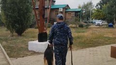 В Соль-Илецке задержана девушка за поджог деревянного креста у храма