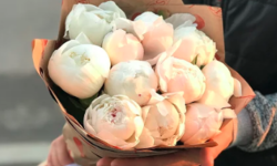 Как цветы помогают выразить то, что сложно сказать словами