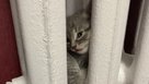 В Соль-Илецке стартует отопительный сезон