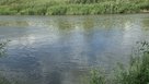 В Соль-Илецке в озере Буранное обнаружили тело мужчины (18+)