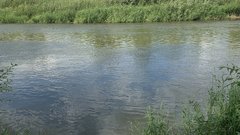 В Соль-Илецке в озере Буранное обнаружили тело мужчины (18+)