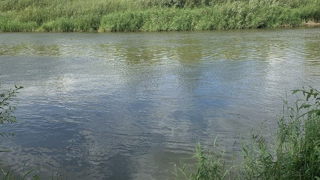 В Соль-Илецке в озере Буранное обнаружили тело мужчины (18+)