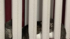 Куда пожаловаться жителям Соль-Илецка, если в квартире не топят