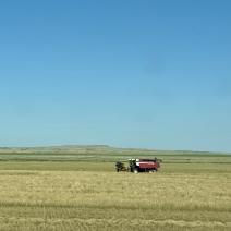 В Соль-Илецке работников сельского хозяйства поздравляют с профессиональным праздником