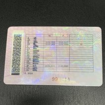 В Соль-Илецке осудили мужчину, купившего поддельные водительские права в интернете